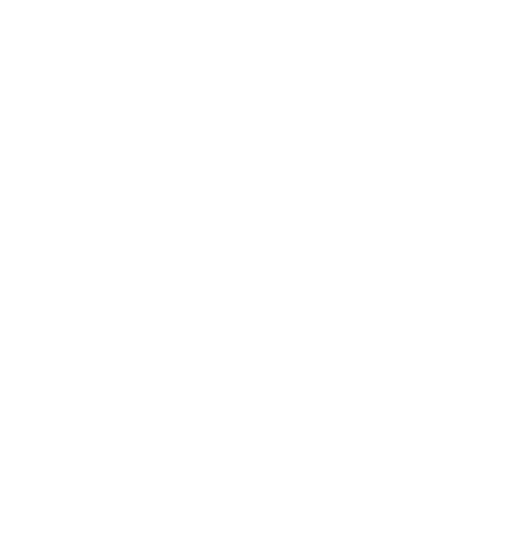 Fast Accounts logo